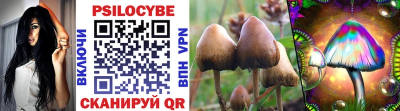 хочу наркоту  Тырныауз  Псилоцибиновые грибы Magic Shrooms 